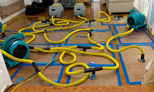Professional Crawl Space Water Removal technician working in Hudson, MA